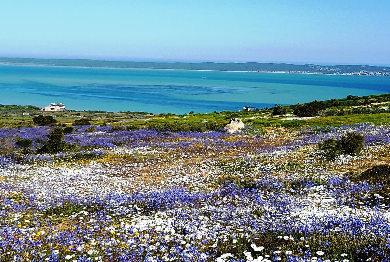 1127 Golf Villa Langebaan Exterior photo